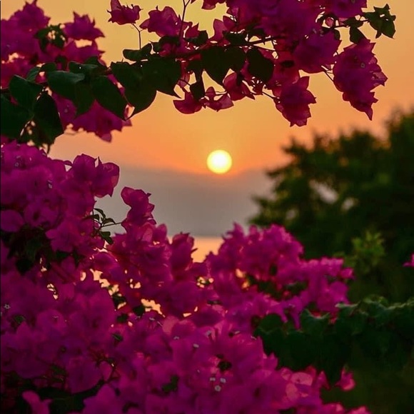 Meet the Posher - Picture 9 of 12